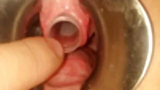 बाक्लो सह संग antopable कोट Cumara सह केटी ऊँटको खुट्टाको औंला