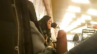 रेडहेड दर्पण को सामने बिल्ली जाँच