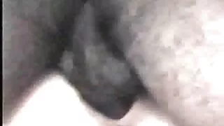 यदि ब्रुना