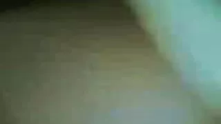 सुरुचिपूर्ण केटी बिल्ली सह गर्न खोज्छ