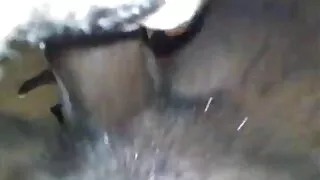 समुद्र मा तीन बालिका एक गंजा सर्फर चूसना