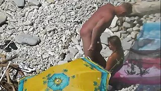 आकर्षक केटी मा झुकाव बिल्ली औंला