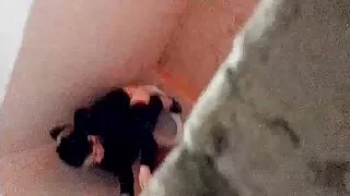 त्यो लडाई को एक राज्य मा कुखुरा ल्याए र विन्डो मा गडबड