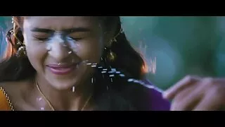 एक सुन्दर केटी संलग्न र बिल्ली मा गडबड छ